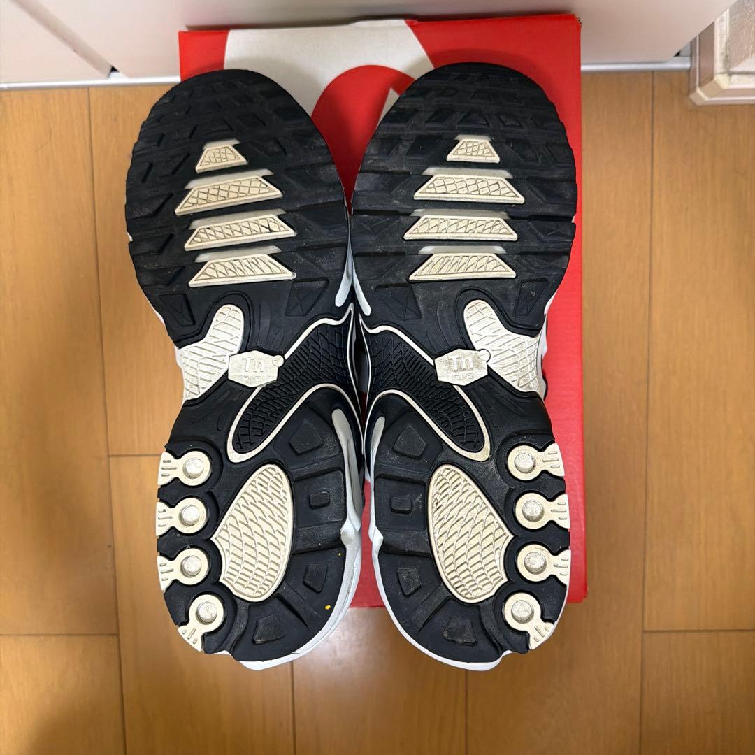 AIR MAX PLUS DRIFT NIKEスニーカー　29cm 白黒