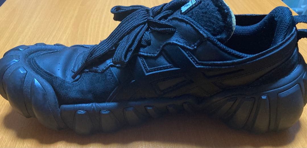 Onitsuka Tiger DENTIGRE LS 29cm ブラック