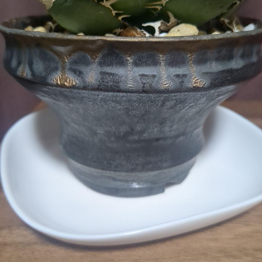 アガベ陶器鉢　植木鉢　比護作品　美品