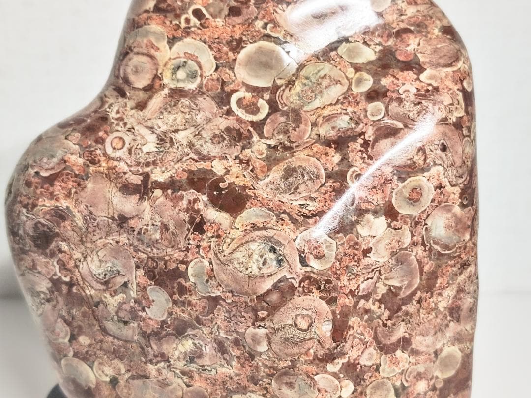 越前 2.4kg 梅花石 紋石 原石 鑑賞石 自然石 誕生石 鉱物 鉱石 水石