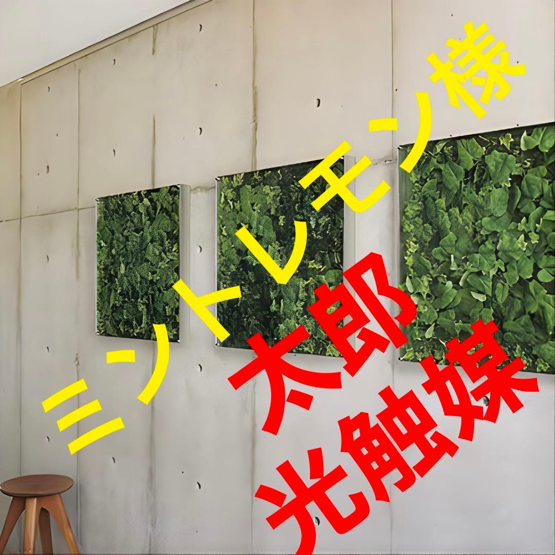 光触媒　人工観葉植物　ウォールグリーン　フェイクグリーン　壁掛け25802580