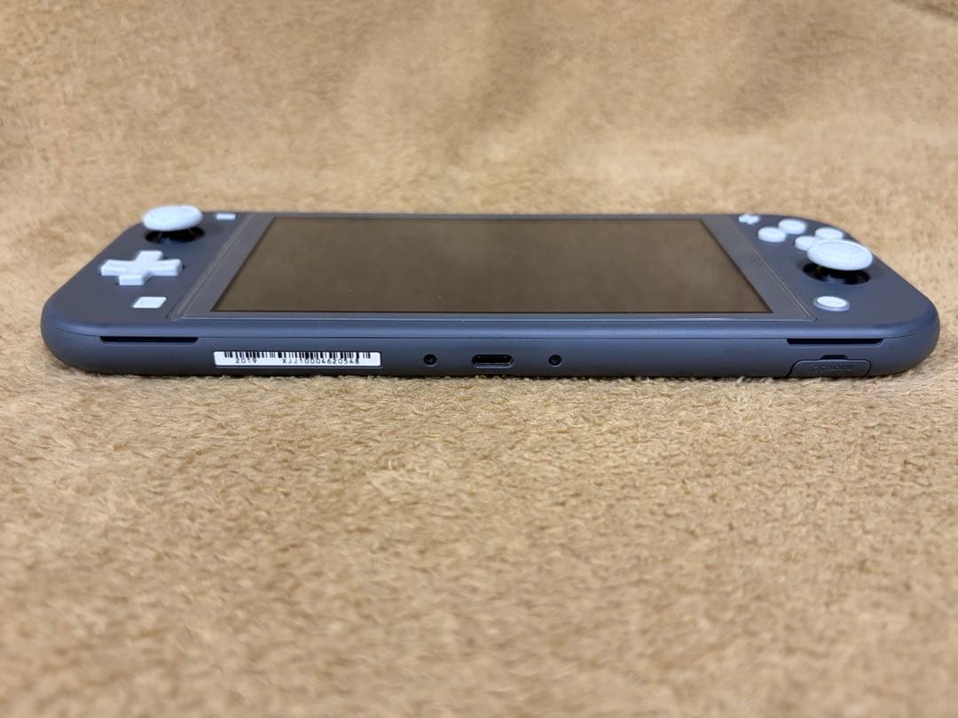 【ケース付】Nintendo Switch Lite グレー 保護ガラス貼付