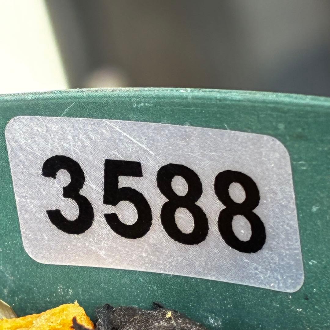 ま*か様 588☘️蕾花タグ付☘️デュメxオーレア⭐️小輪⭐️レッドアイ⭐️オー