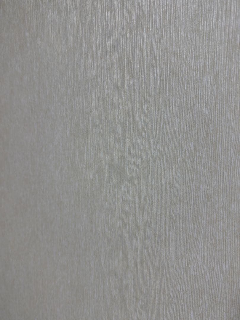 iPhone 15 Pro 256GB チタンホワイト