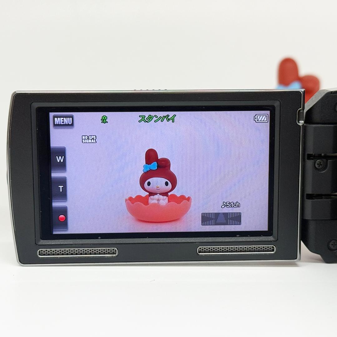 SONY Handycam HDR-PJ590V ビデオカメラ 2012年製