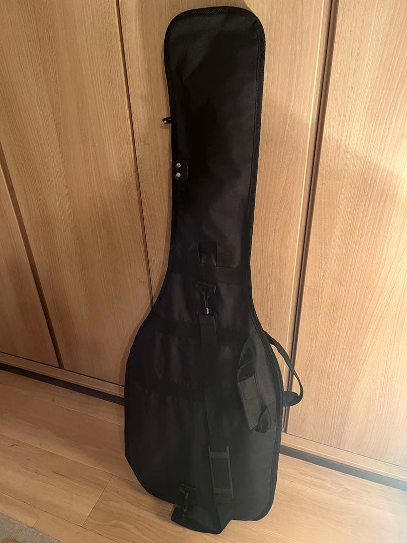 Samick（サミック） テレキャスタータイプ ギター ケース付き