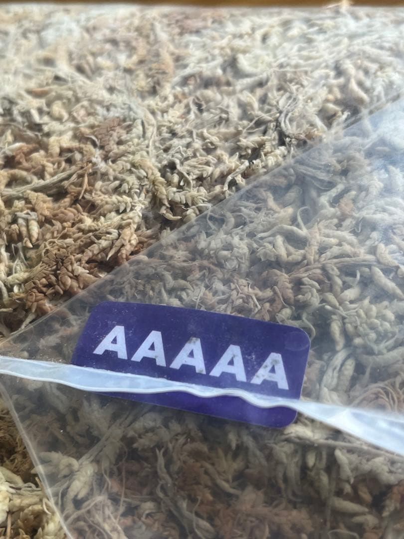 水苔　AAAAA ニュージーランド産　3Kg