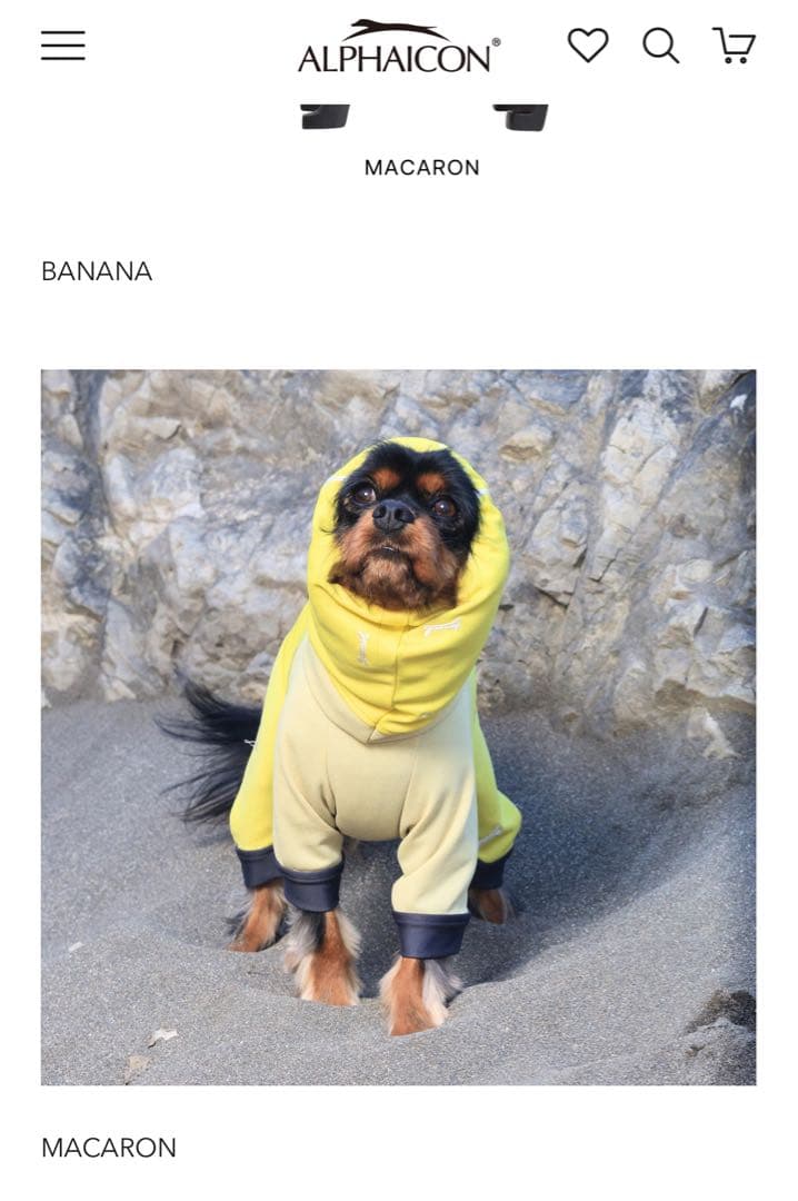 アルファアイコンドッグガードクール 2025 サイズSM