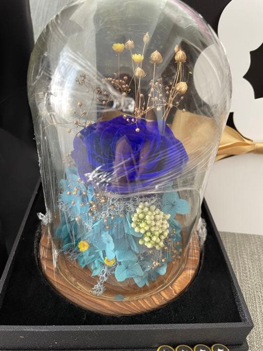 ❣️限定1個❣️新品❣️14000円⁈ブリザードフラワーガラスケース薔薇