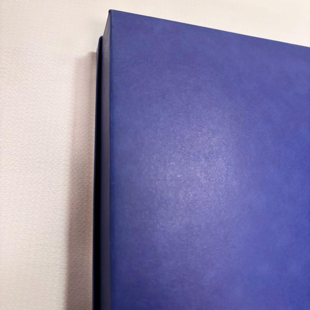 新品 Villeroy & Boch ビレロイ&ボッホ 三角形プレート 2枚