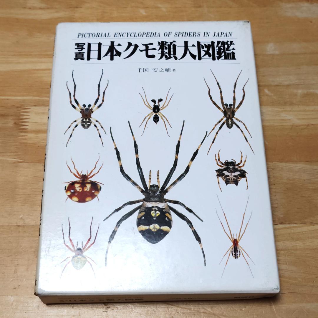 【初版本】 写真・日本クモ類大図鑑 千国安之輔著 偕成社 1989年発行
