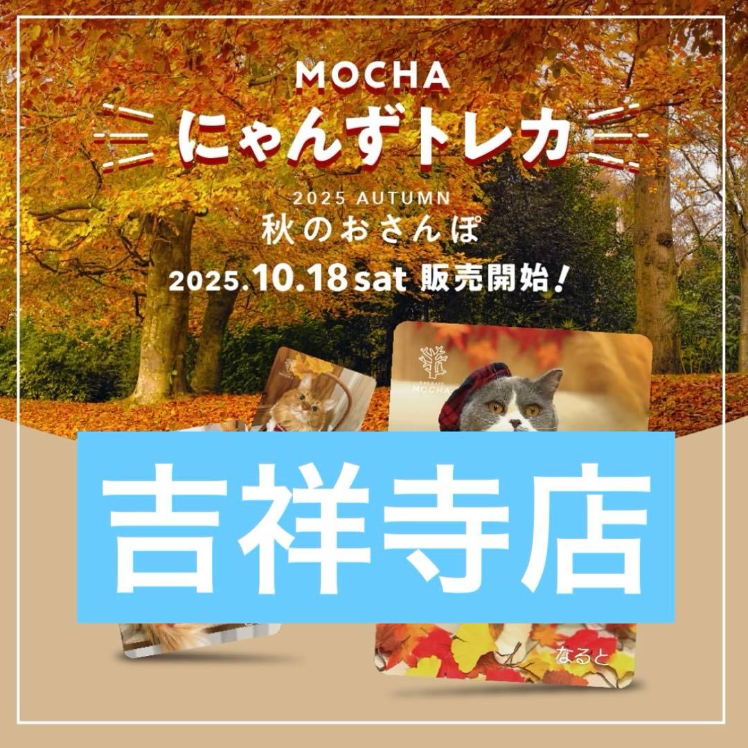 猫カフェmocha にゃんずトレカ　秋のおさんぽ　吉祥寺店