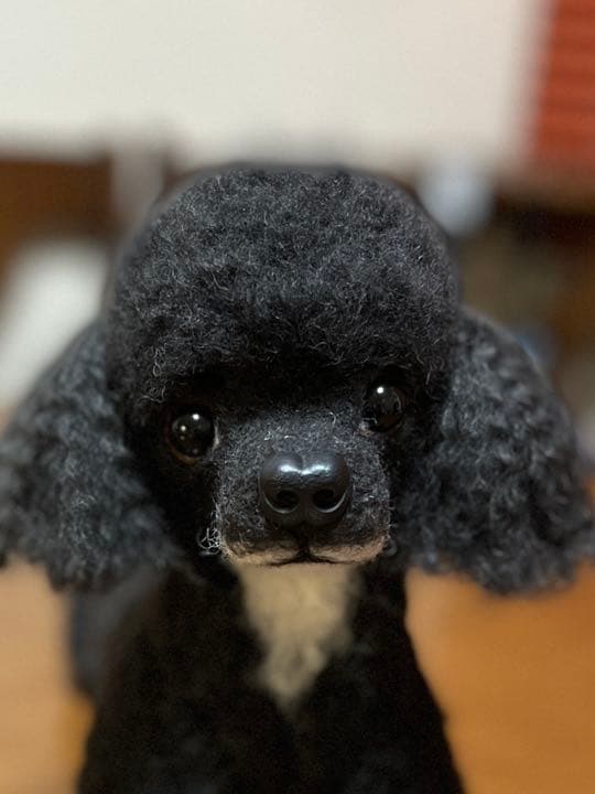 羊毛フェルト　トイプードル　ブラック