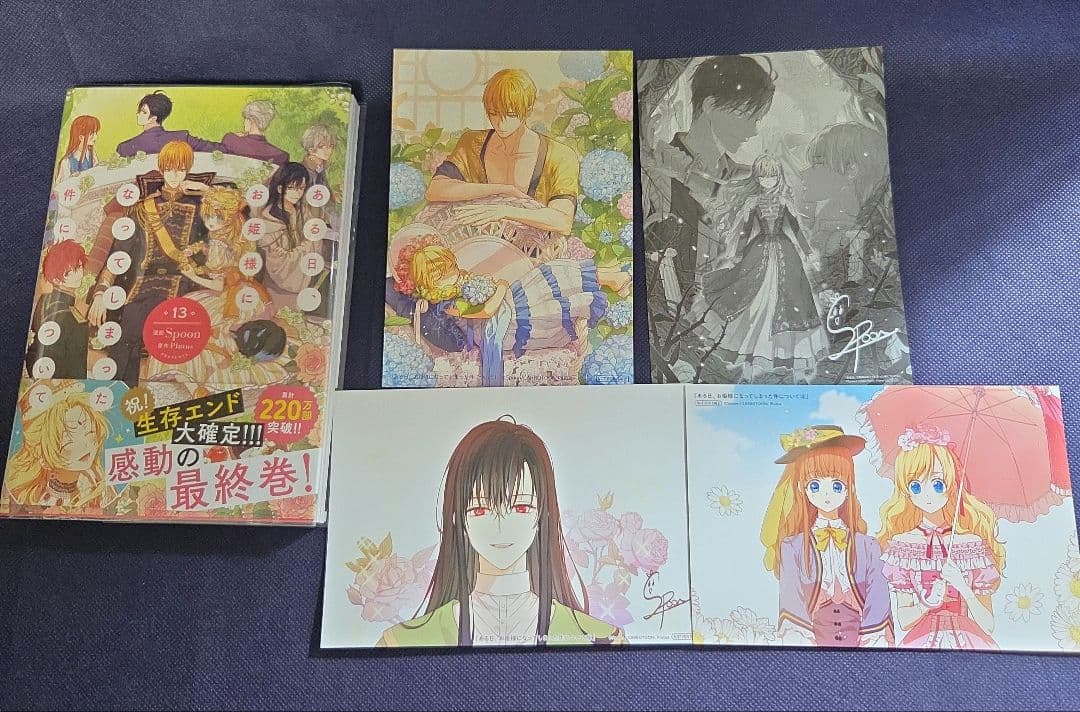 ある日、お姫様になってしまった件について　全13巻