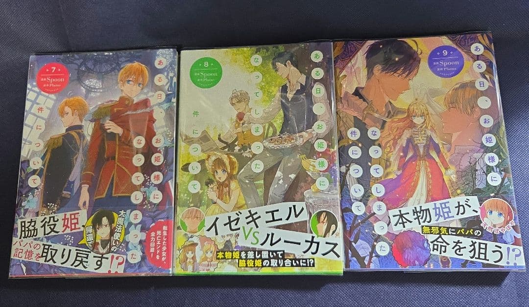 ある日、お姫様になってしまった件について　全13巻
