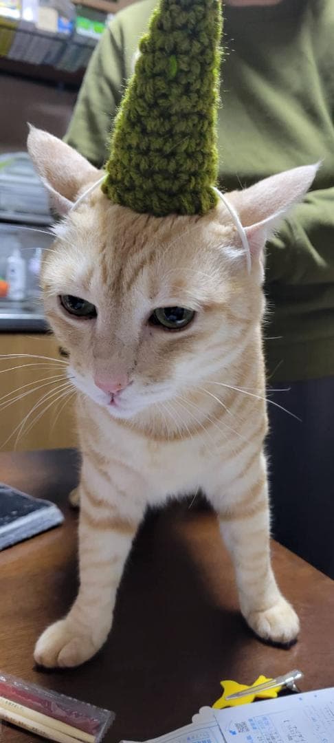 ニャオ（青いひよ子）