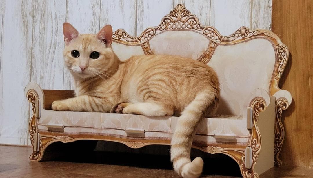 ニャオ（青いひよ子）