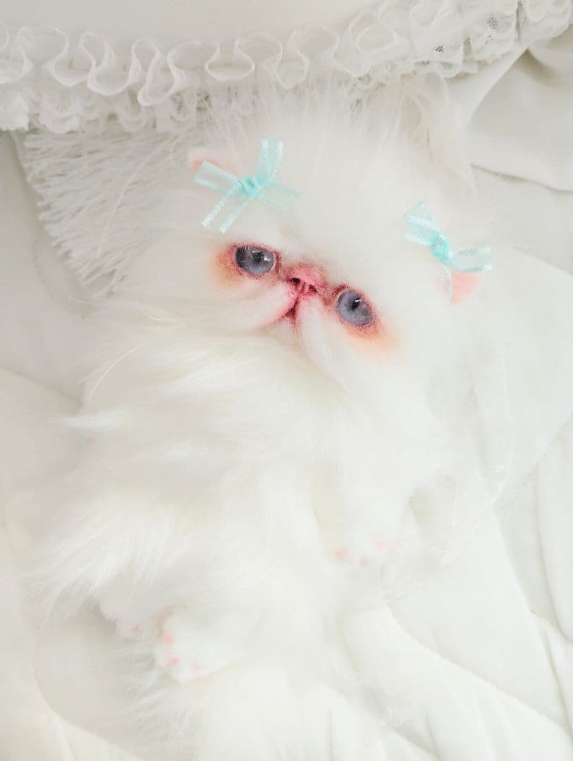 ポッケにゃん♡エキゾチックロングヘア♡子猫ちゃん♡アートドール♡ぬいぐるみ♡