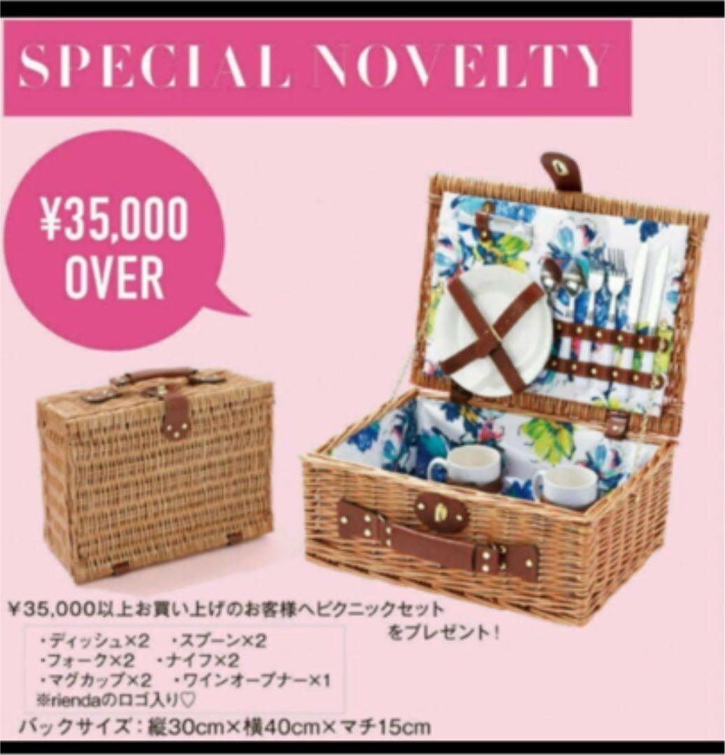 rienda  ピクニックセット