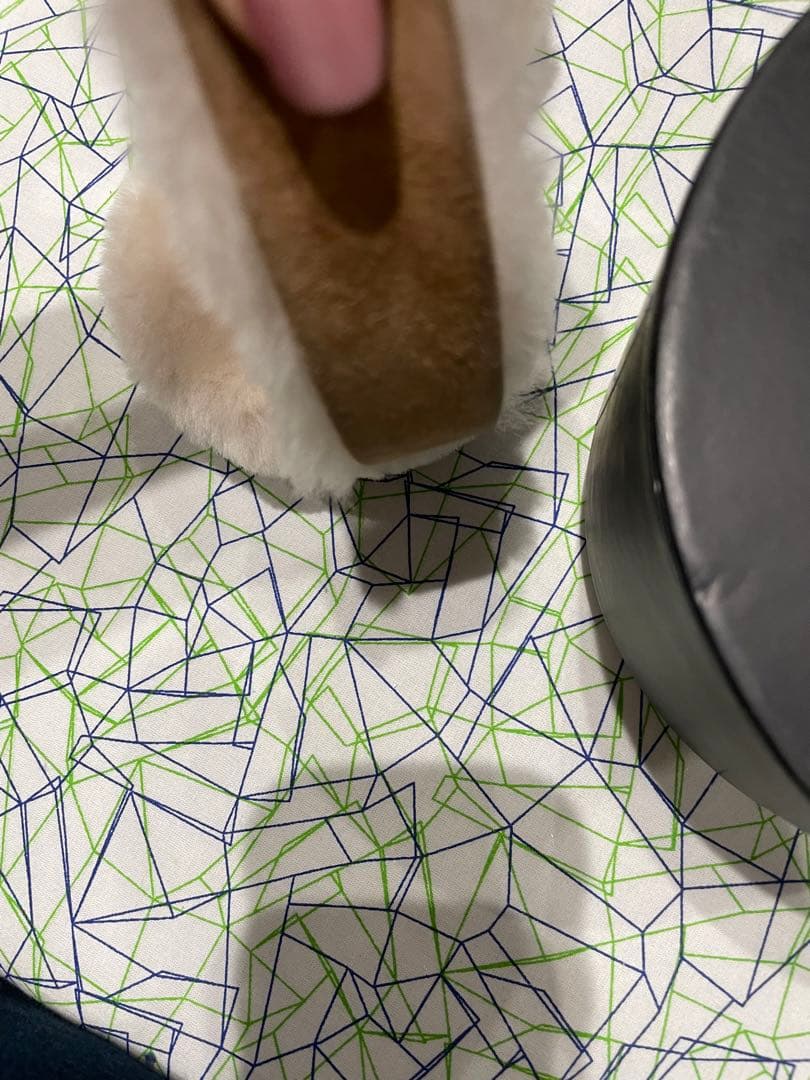 ugg 今期　完売品　イヤーマフ