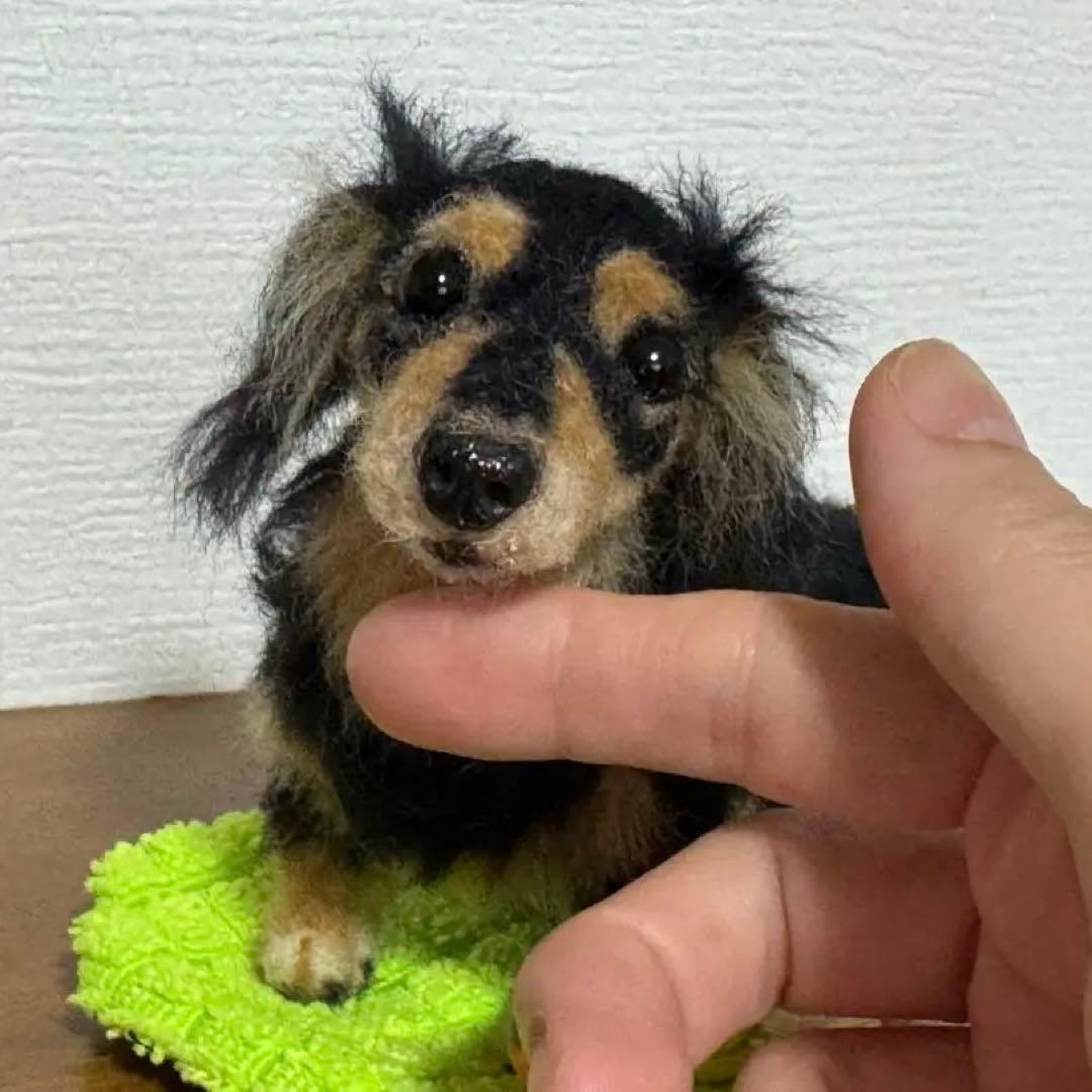 わたわたペット　羊毛フェルト作品　可愛い ミニチュアダックスフンド　ブラックタン