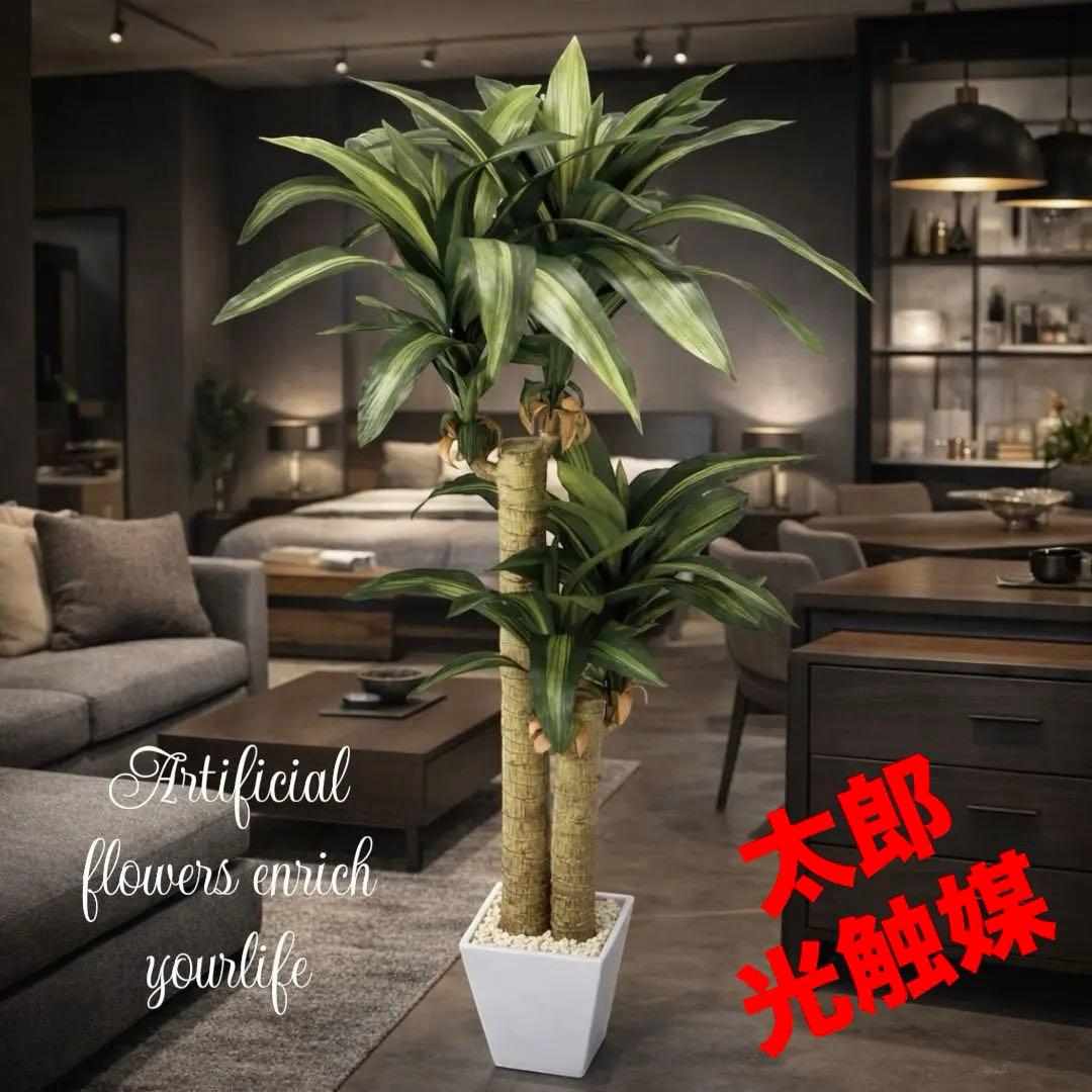 光触媒　人工観葉植物　ウォールグリーン　フェイクグリーン　幸福の木マッサン