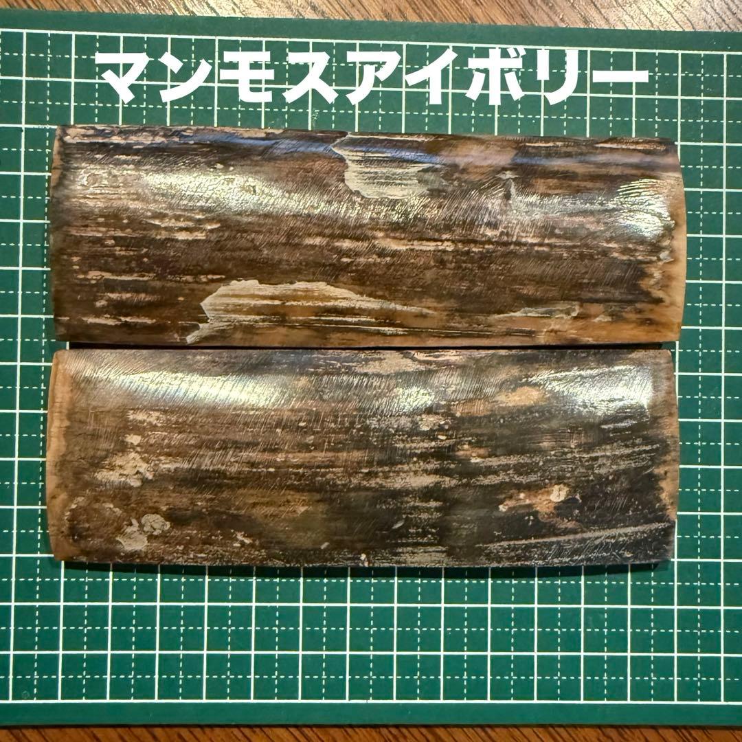 カスタムナイフハンドル材　マンモスアイボリー