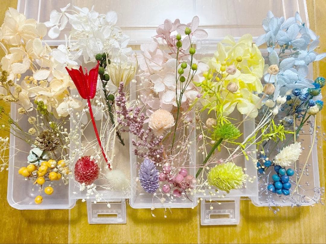 02花材詰め合わせ　プリザーブド　ドライ　ハーバリウムレジン