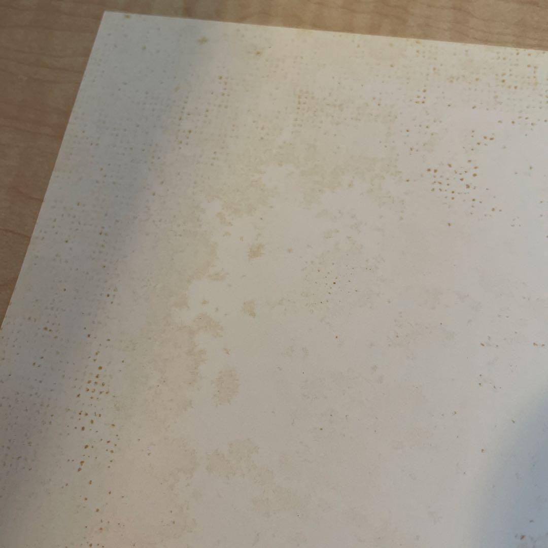 写真入れ フォトフレーム 額縁 花柄 チューリップ 写真立て