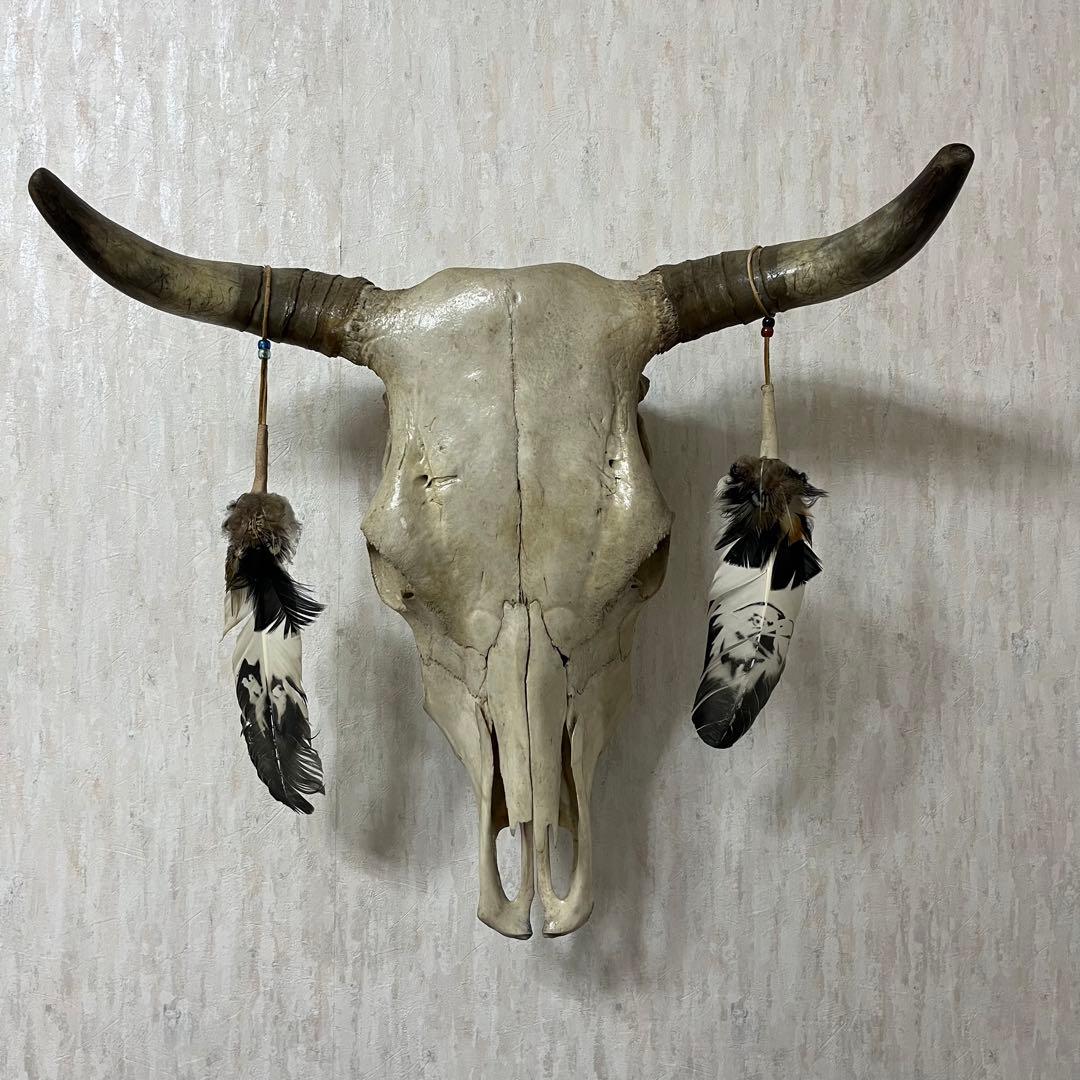 希少品 ヴィンテージ　ビッグサイズ　スカルヘッド　バッファロースカル