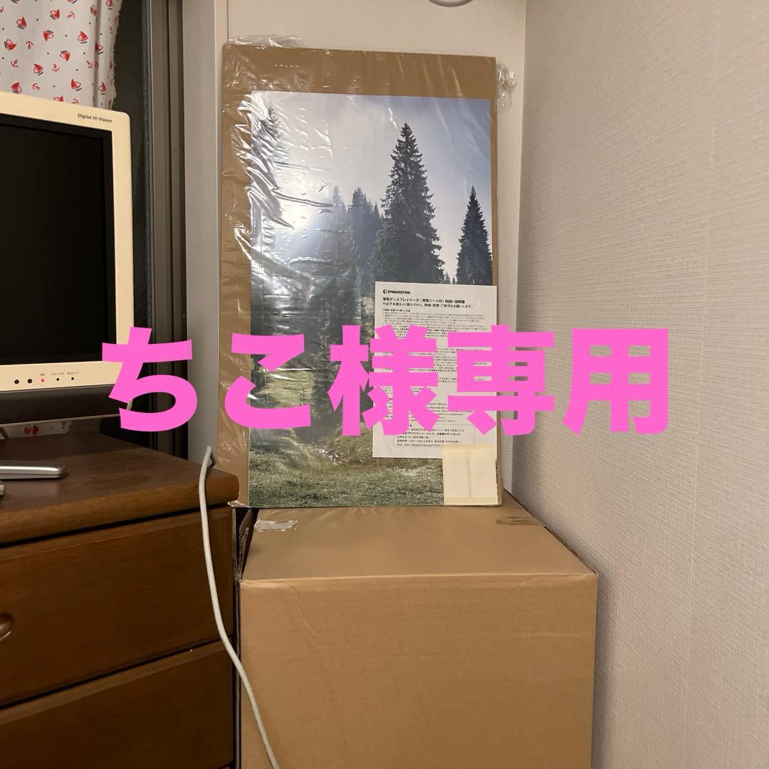 【ちこ】ムーミンハウスをつくる　背景付きディスプレイケース