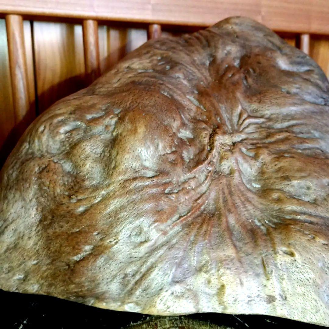 天然木　コブ置物 　飾り台付き