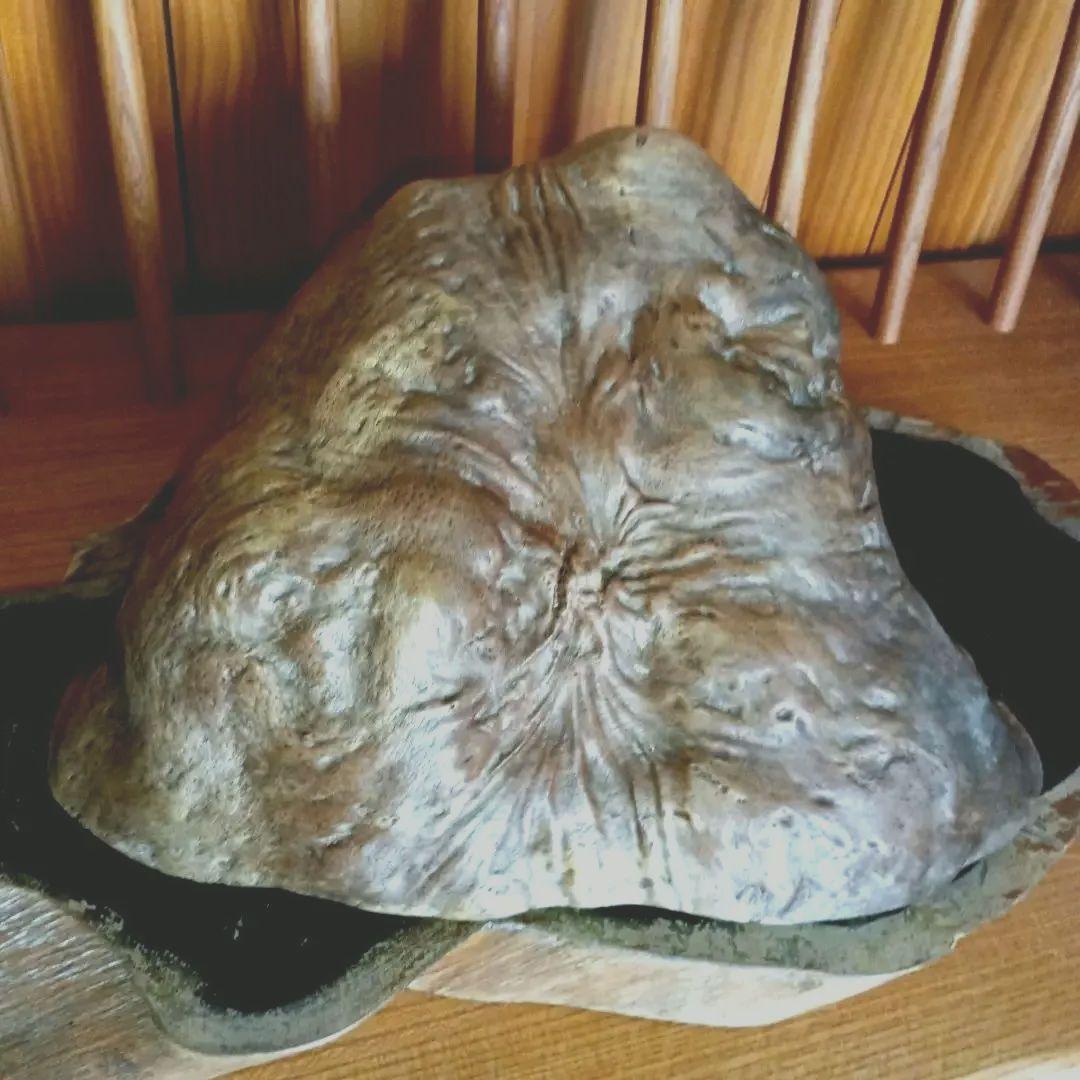 天然木　コブ置物 　飾り台付き