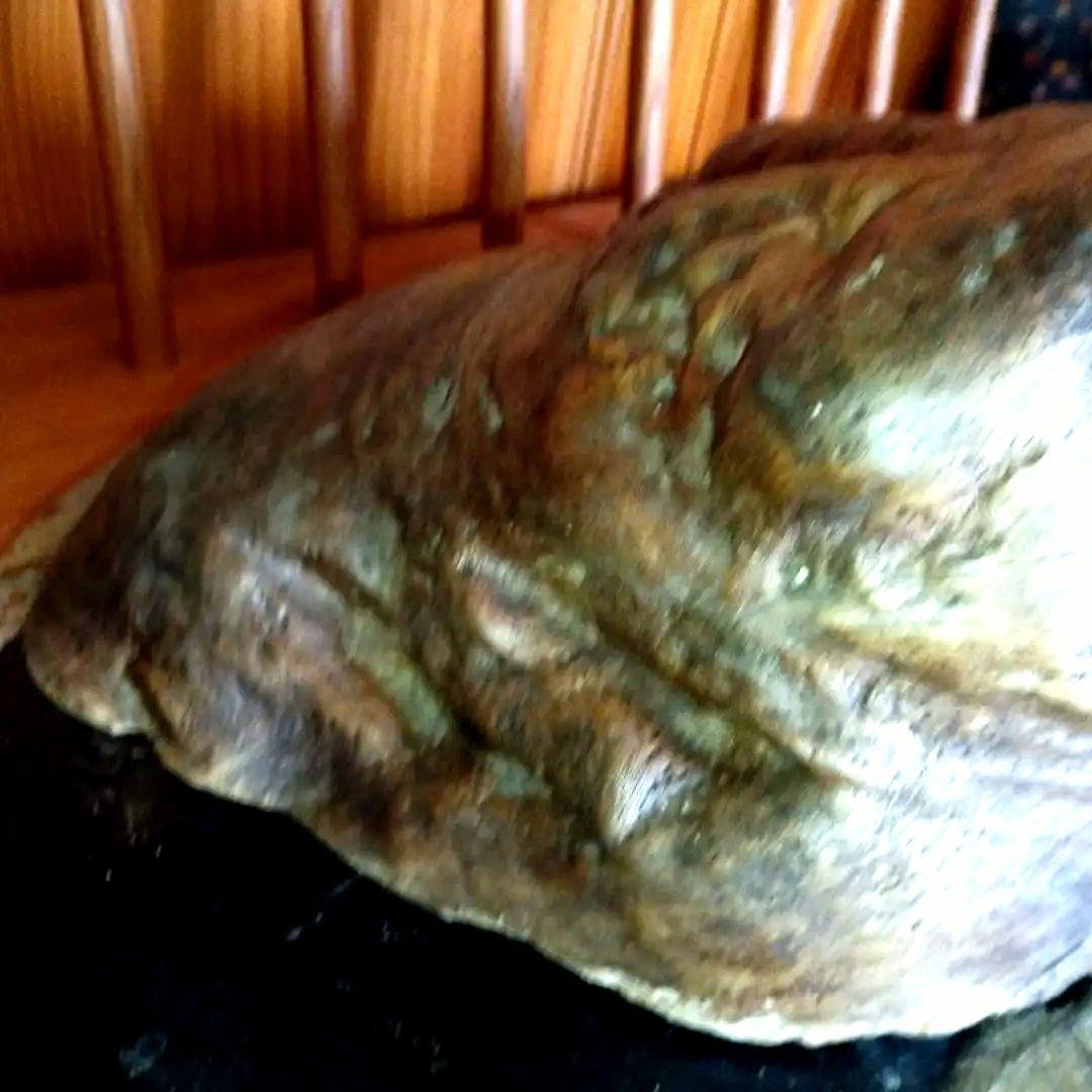 天然木　コブ置物 　飾り台付き