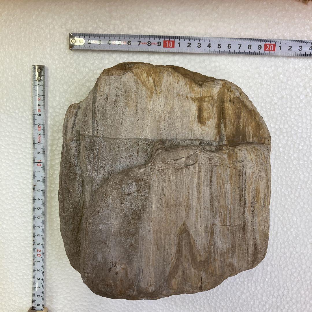 砥石の原石　19×19×8 （㎝）　6.2kg