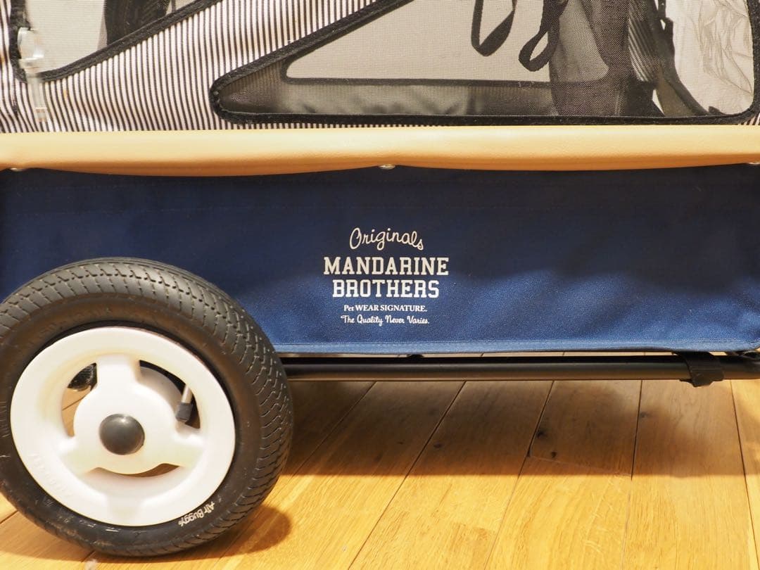 エアバギー トゥインクル マンダリンブラザーズ 限定カラー