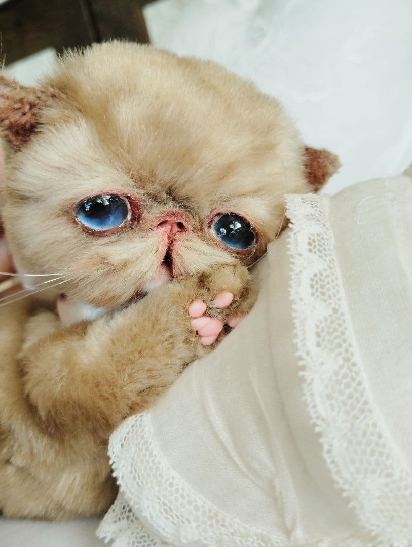 高級ファー♡短足ぽってりボディ♡子猫ちゃん♡アートドール♡ぬいぐるみ♡