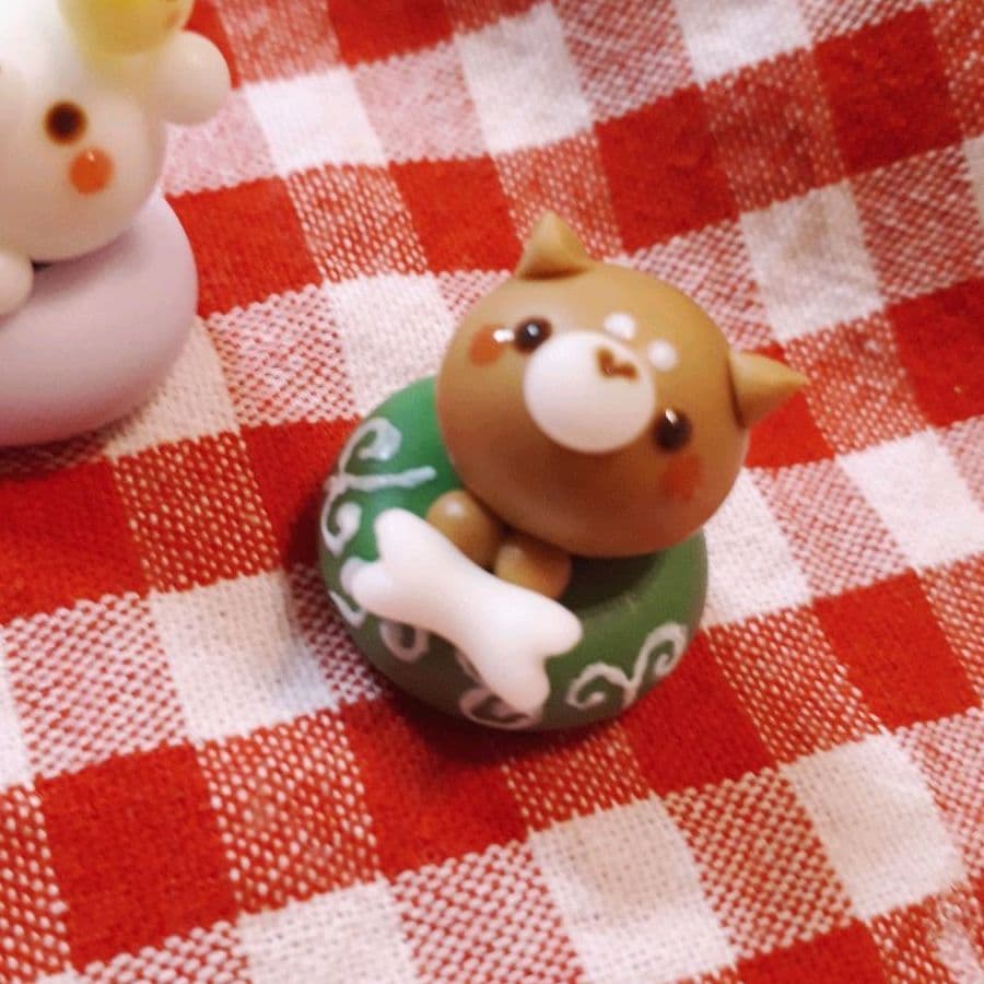 浮き輪柴犬♡夏