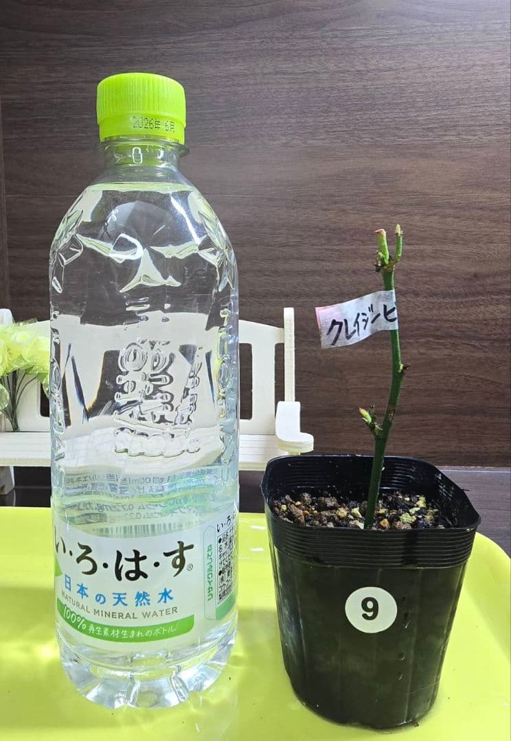 ①ご確認用ページ