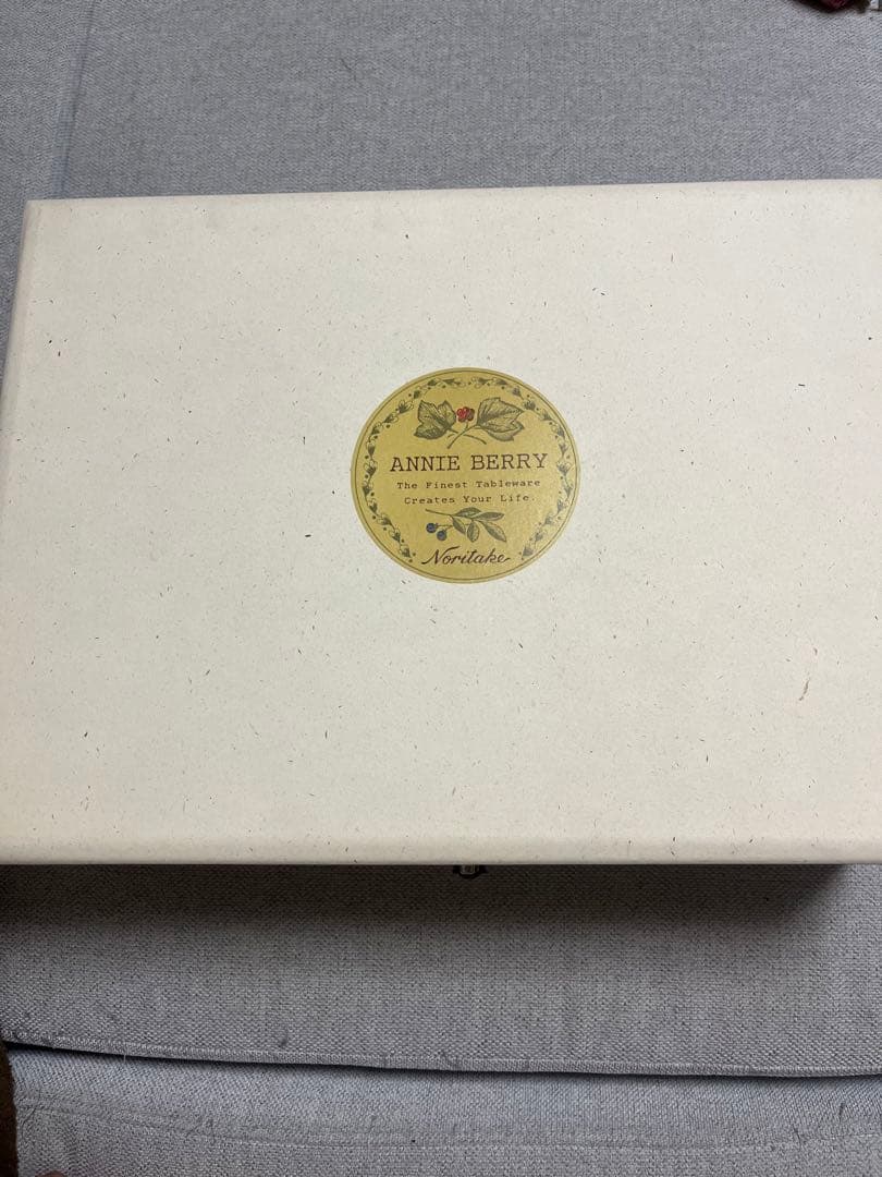 ノリタケ サロンセット ANNIE BERRY