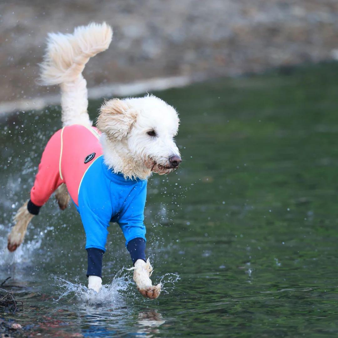 犬服・アクセサリー Alphaicon W.FULL DOG GUARD RETRO SKI 1XL