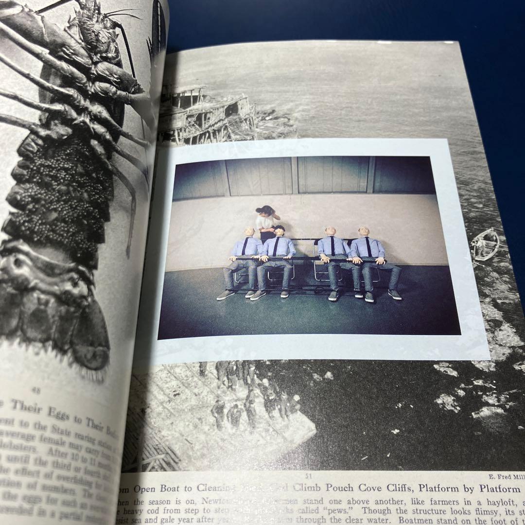 ■[2CD+BD] サカナクション ベストアルバム 「魚図鑑」■山口一郎 新宝島