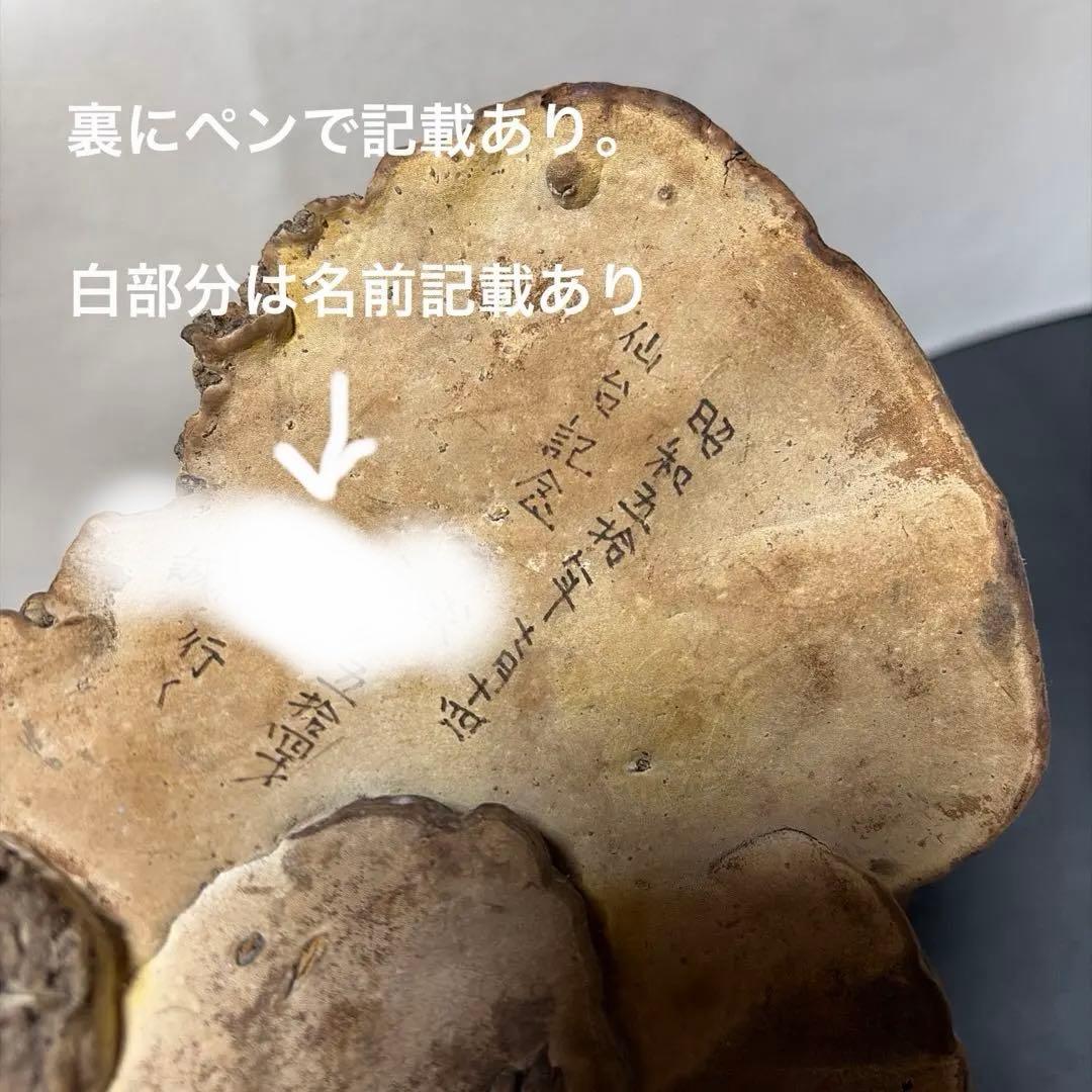 古備前　備前焼　壺　＆　サルノコシカケ　蓋