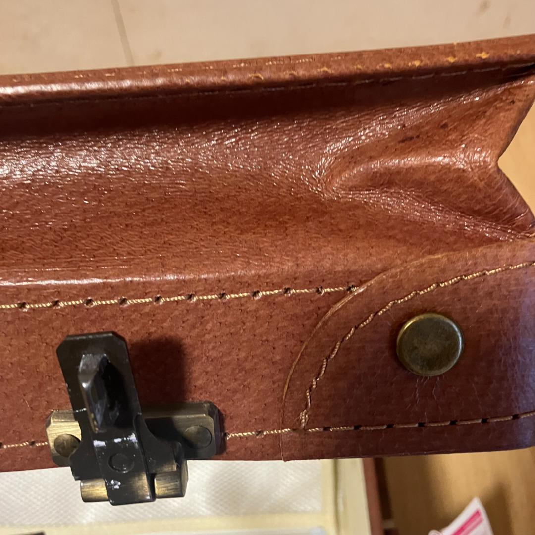 【新品】ユーラシア 豚革 トランク キャリーケース 旅行バッグ スーツケース 茶