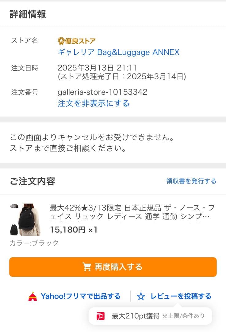 【良品】The North Face ネバーストップデイパック