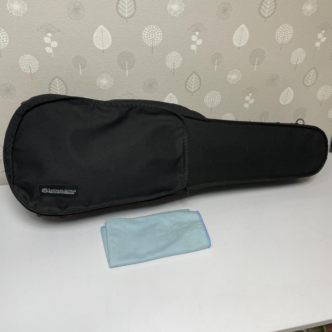 イーストマン VL80 3/4 2015年 バイオリン 分数バイオリン