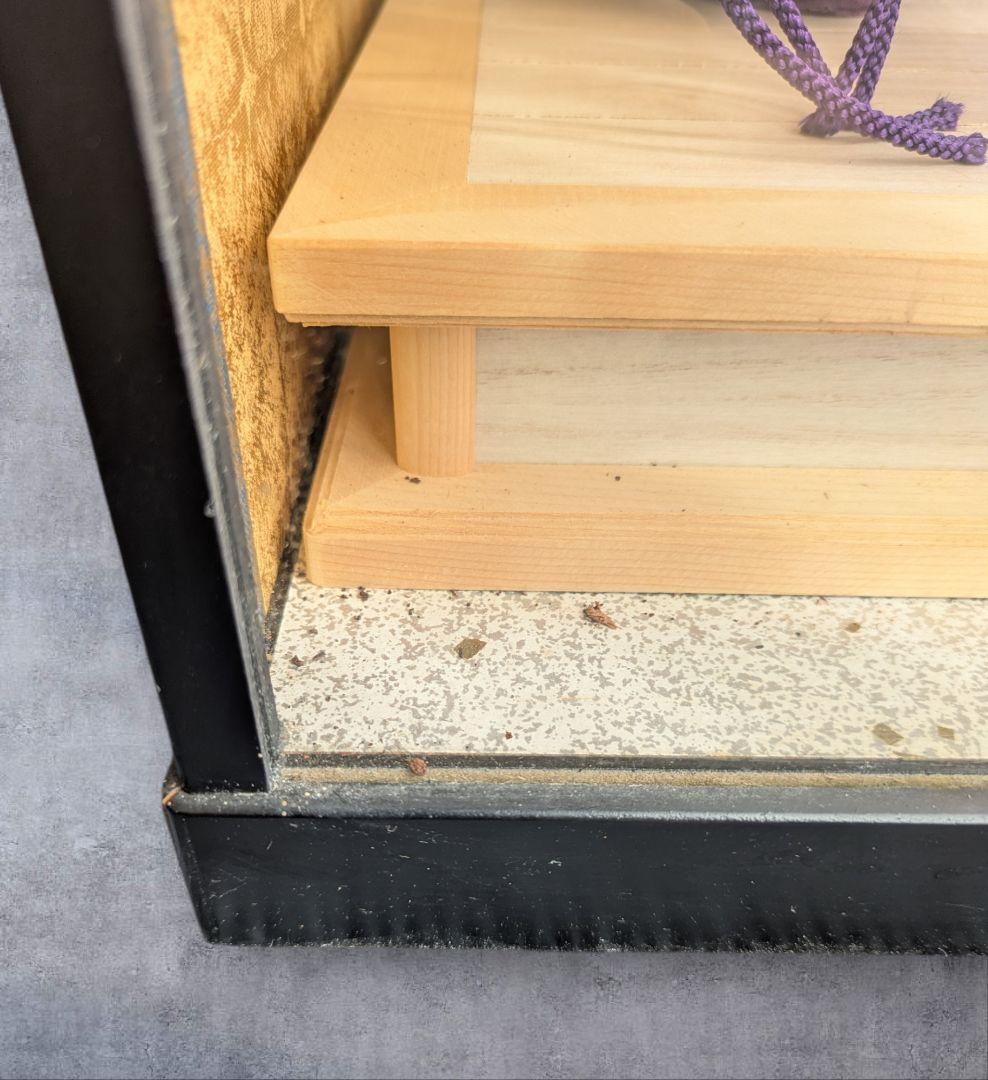 【古民家発掘】五月人形　御所人形 ガラスケース入り　伝統工芸品