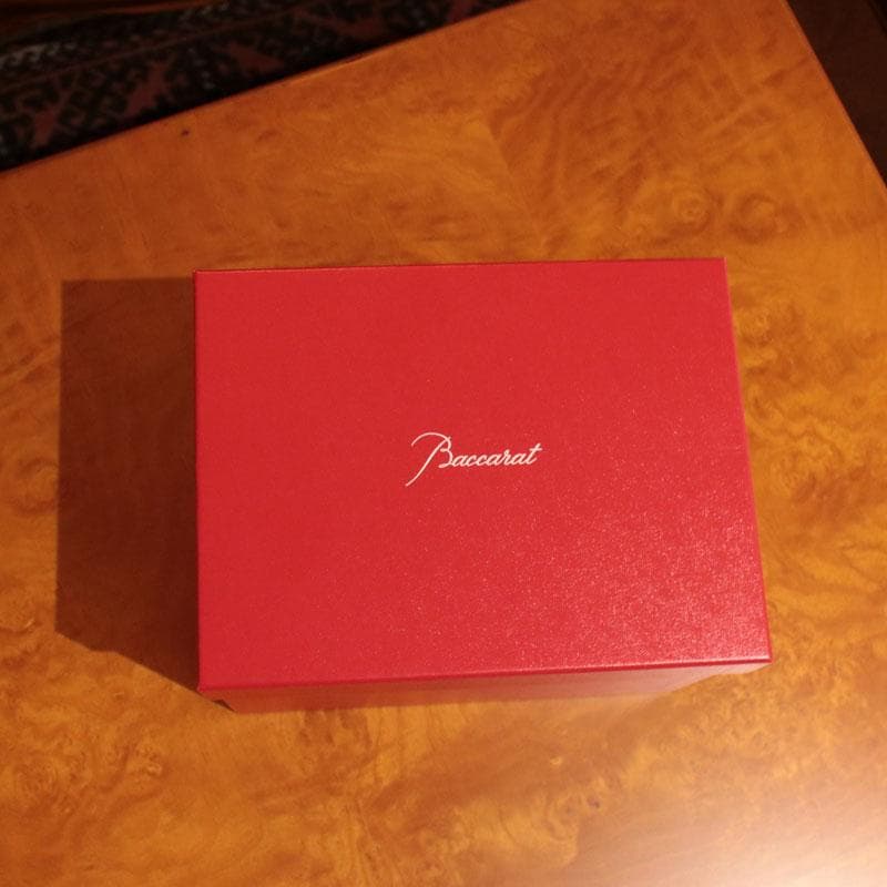 Baccarat バカラ セルパンタン フラワーベース 廃盤品 101-026