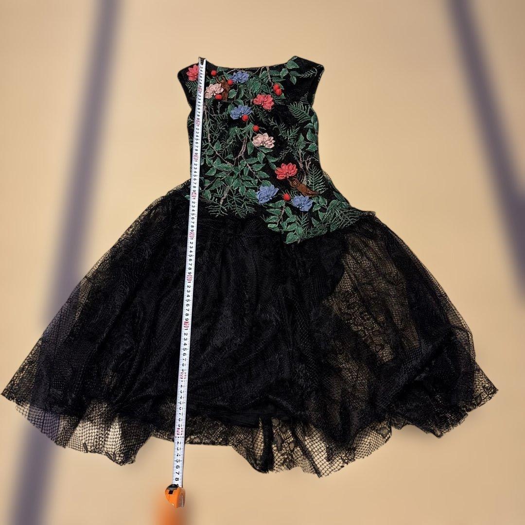 タダシショージ