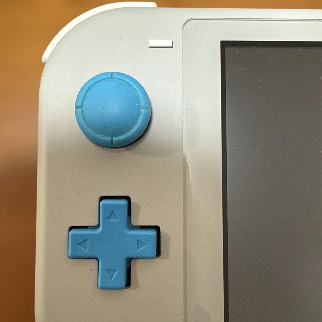 Nintendo Switch Lite ポケモン　充電器付き